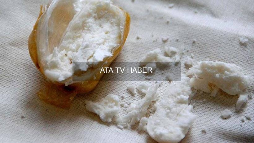 Avrupa’da Uyuşturucu Krizi ve Yeni Tehditler