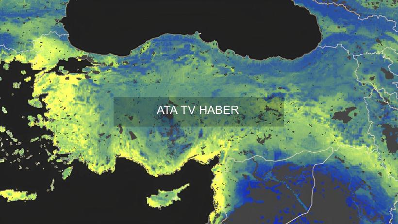 Araştırma ve Yöntem