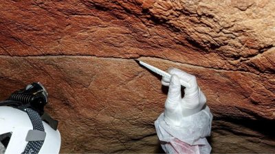 Mağara Duvarları Antik DNA Kayıtları Sunuyor İspanya, Portekiz, Birleşik Krallık,