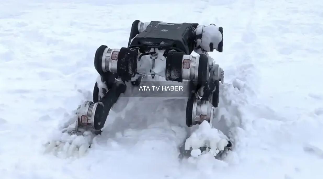 Lynx S10: Arktik Testlerinde Öne Çıkan Gelişmiş Robot