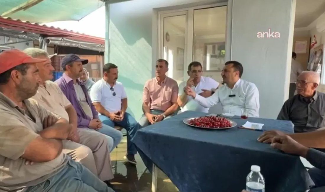 Manisa’da kiraz üreticileri zor durumda: Maliyetlerin altında satış ve pazarlama