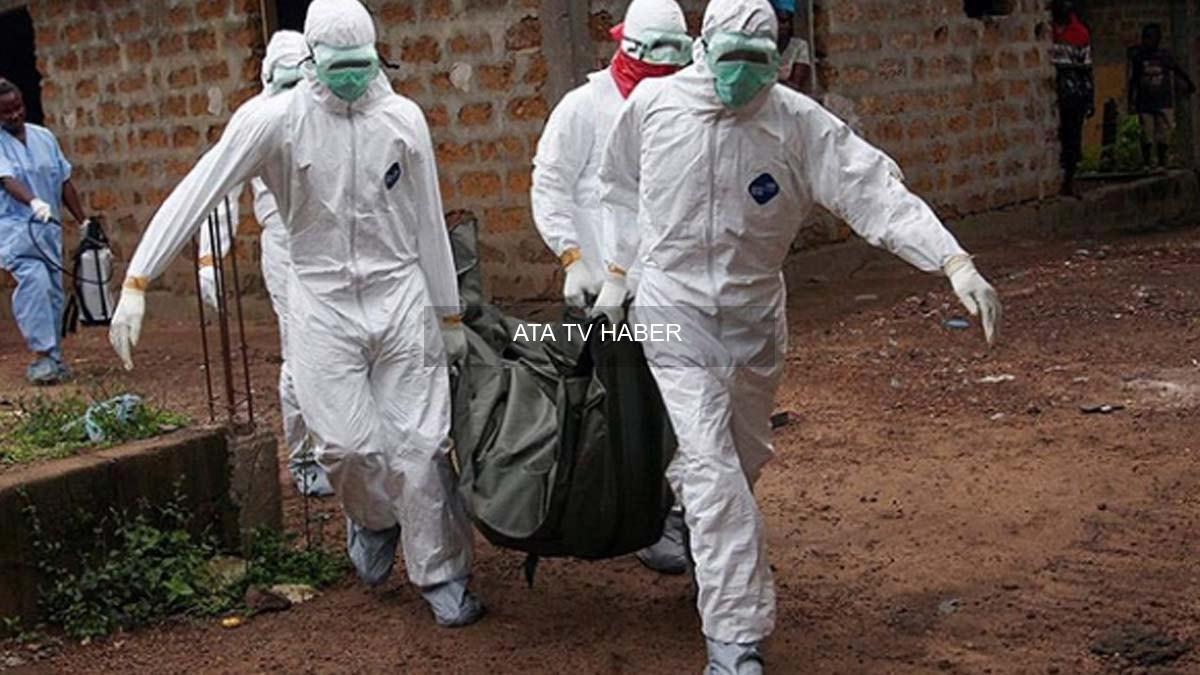 Ebola salgınının ilanı ve virüs türü