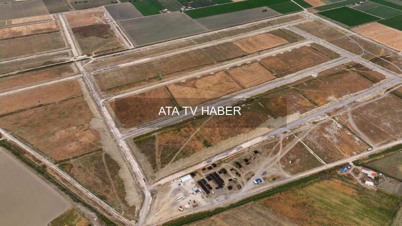 İzmir Kınık’ta 1,3 Milyon m²’lik Alanda Kontrollü Tıbbi Kenevir Üretimi Başladı