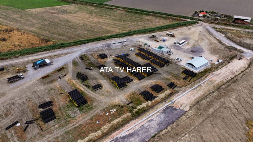 İzmir Kınık’ta 1,3 Milyon m²’lik Alanda Kontrollü Tıbbi Kenevir Üretimi Başladı