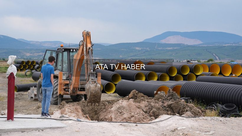 İzmir Kınık’ta 1,3 Milyon m²’lik Alanda Kontrollü Tıbbi Kenevir Üretimi Başladı