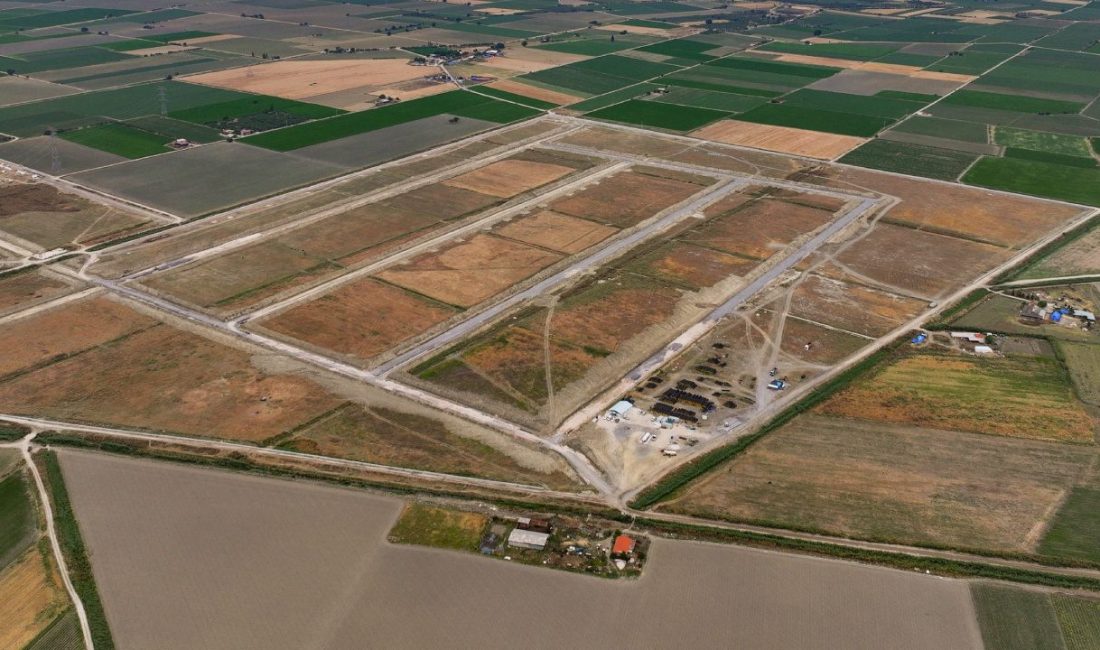 İzmir Kınık’ta 1,3 Milyon m²’lik Alanda Kontrollü Tıbbi Kenevir Üretimi