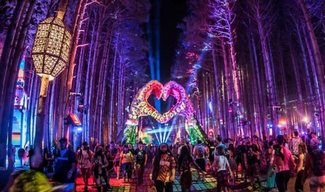 Electric Forest Müzik Festivali’nde Kamp Alanındaki Taşınabilir Tuvalette Yeni Doğmuş