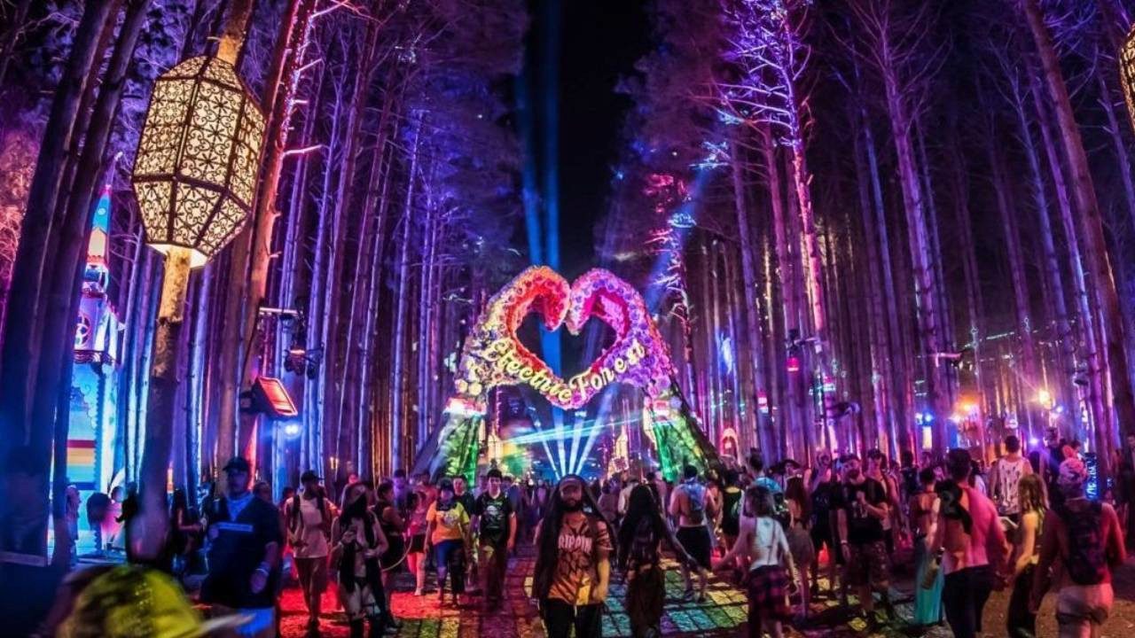 Electric Forest Müzik Festivali’nde Kamp Alanındaki Taşınabilir Tuvalette Yeni Doğmuş