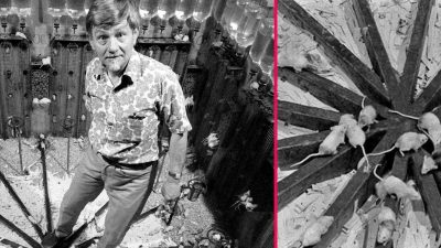 Evren 25 Deneyi: Başlangıç ve Kurulum 1968 yılında Amerikalı etolog