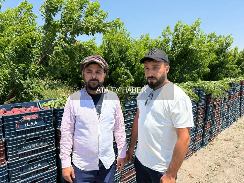 Doğal Afetler Üreticiyi Vurdu