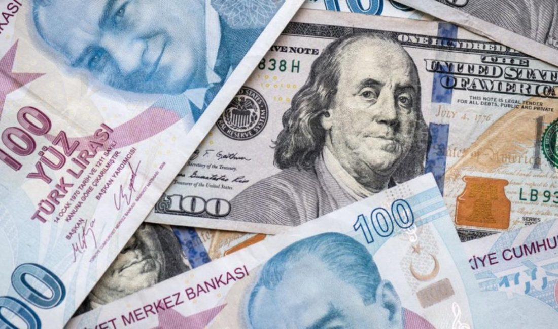 TAVUKÇULARA KUŞ GRİBİ PİYANGOSU VURDU Avrupa genelinde kuş gribi salgını