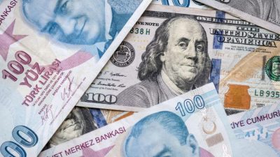 TAVUKÇULARA KUŞ GRİBİ PİYANGOSU VURDU Avrupa genelinde kuş gribi salgını