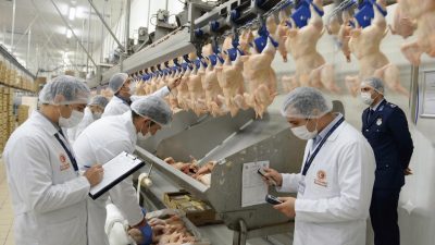 Operasyonun Kapsamı ve İlk Resmi Açıklama Türkiye, 12 Haziran Cuma
