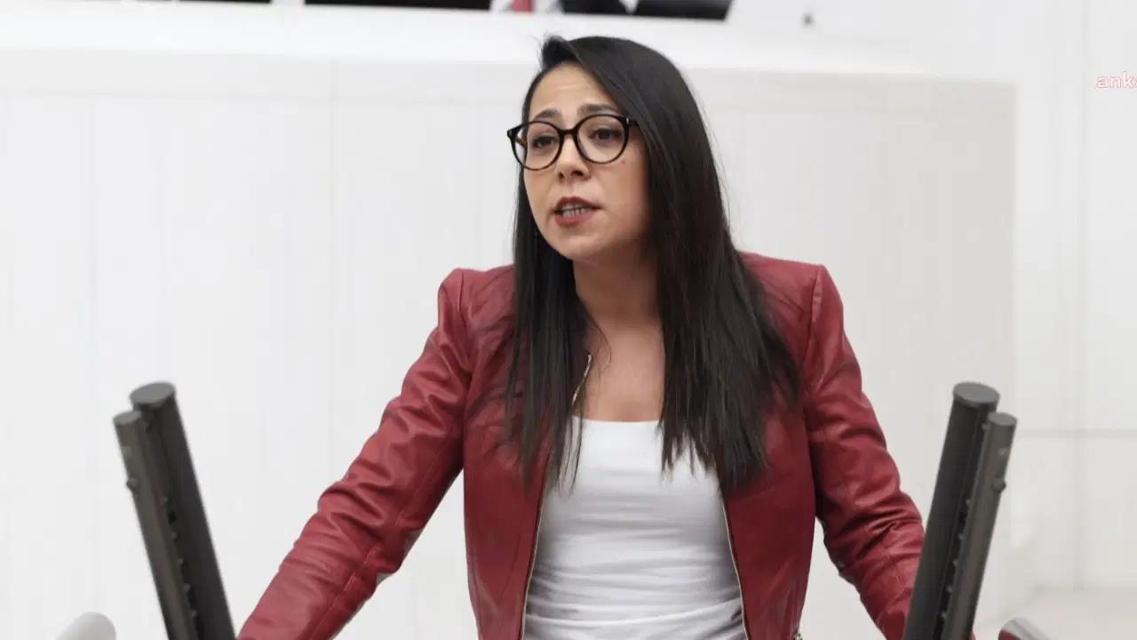 Sera Kadıgil’den TÖDER ve ÖZDER’e Sert Eleştiri Türkiye İşçi Partisi
