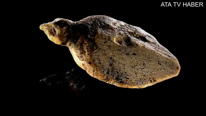 Hohle Fels mağarasında 40.000 yıllık iki minyatür kuş figürü keşfedildi