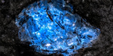 dunya-uzerindeki-en-eski-kehribar-bulundu-tam-385-milyon-yillik-ZICuJ4pL.jpg