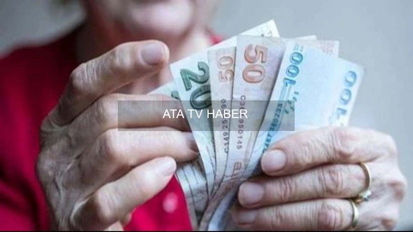 2008 Reformu İlkelerinden Sapma Eleştirisi