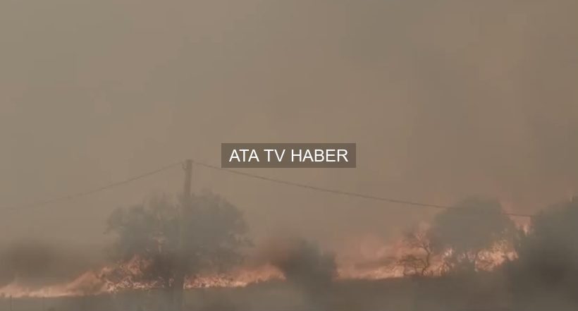 İspanya ve Fransa’da Orman Yangınları: Binlerce Kişi Tahliye Edildi, Yüzbinlerce Hektar Etkilendi