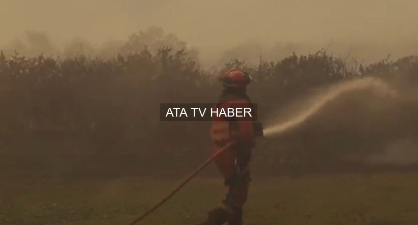 İspanya ve Fransa’da Orman Yangınları: Binlerce Kişi Tahliye Edildi, Yüzbinlerce Hektar Etkilendi