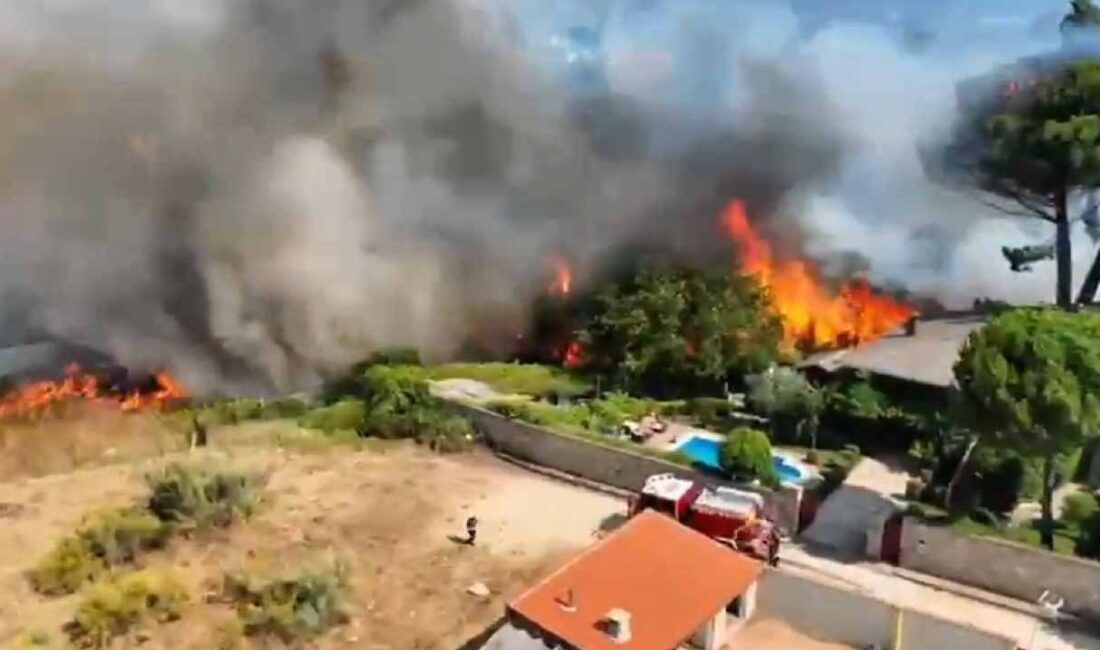 İspanya ve Fransa’da Orman Yangınları: Binlerce Kişi Tahliye Edildi, Yüzbinlerce