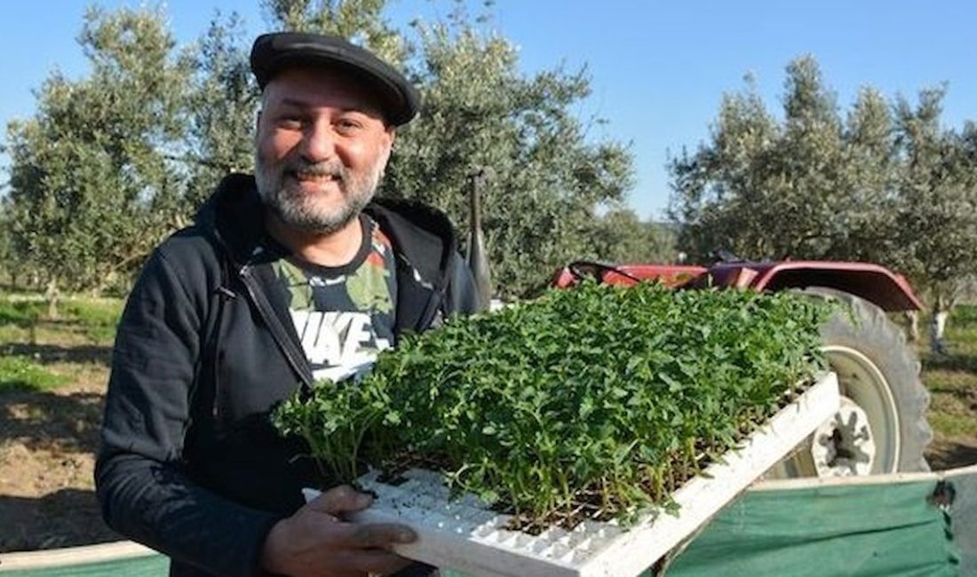 Hüsnü Şenlendirici: Bergama’da Doğa İçinde Yaşam ve Hasat Telaşı Hüsnü