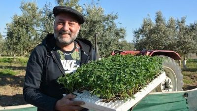 Hüsnü Şenlendirici: Bergama’da Doğa İçinde Yaşam ve Hasat Telaşı Hüsnü