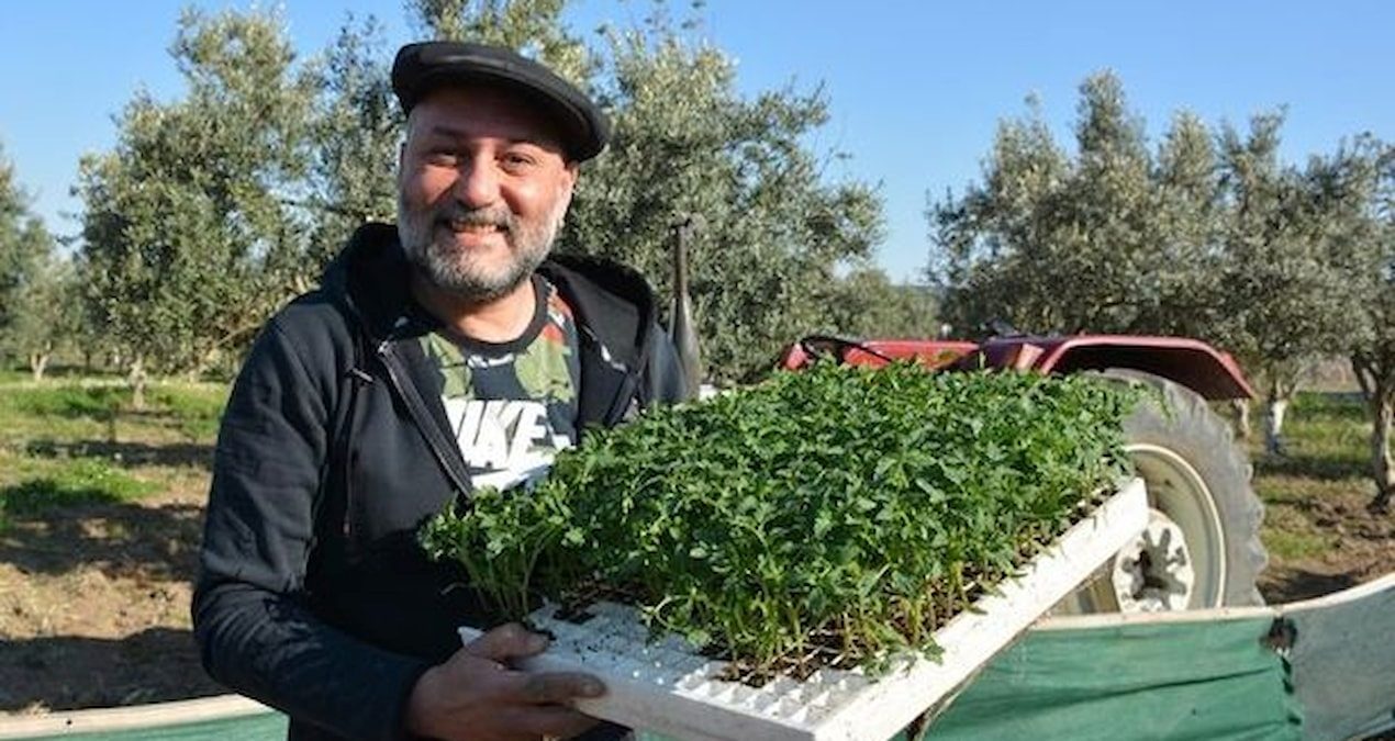 Hüsnü Şenlendirici: Bergama’da Doğa İçinde Yaşam ve Hasat Telaşı Hüsnü