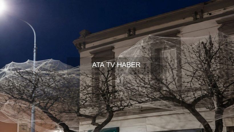 Rafaela Belediyesi’nin Ağaç Taçlarını Ağlarla Kapatması Çevrecileri Ayağa Kaldırdı