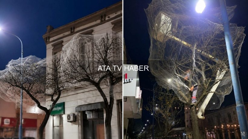 Uygulamanın Ayrıntıları ve Belediyenin Gerekçesi