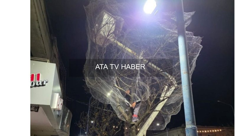 Çevrecilerin Tepkisi ve Uyarıları