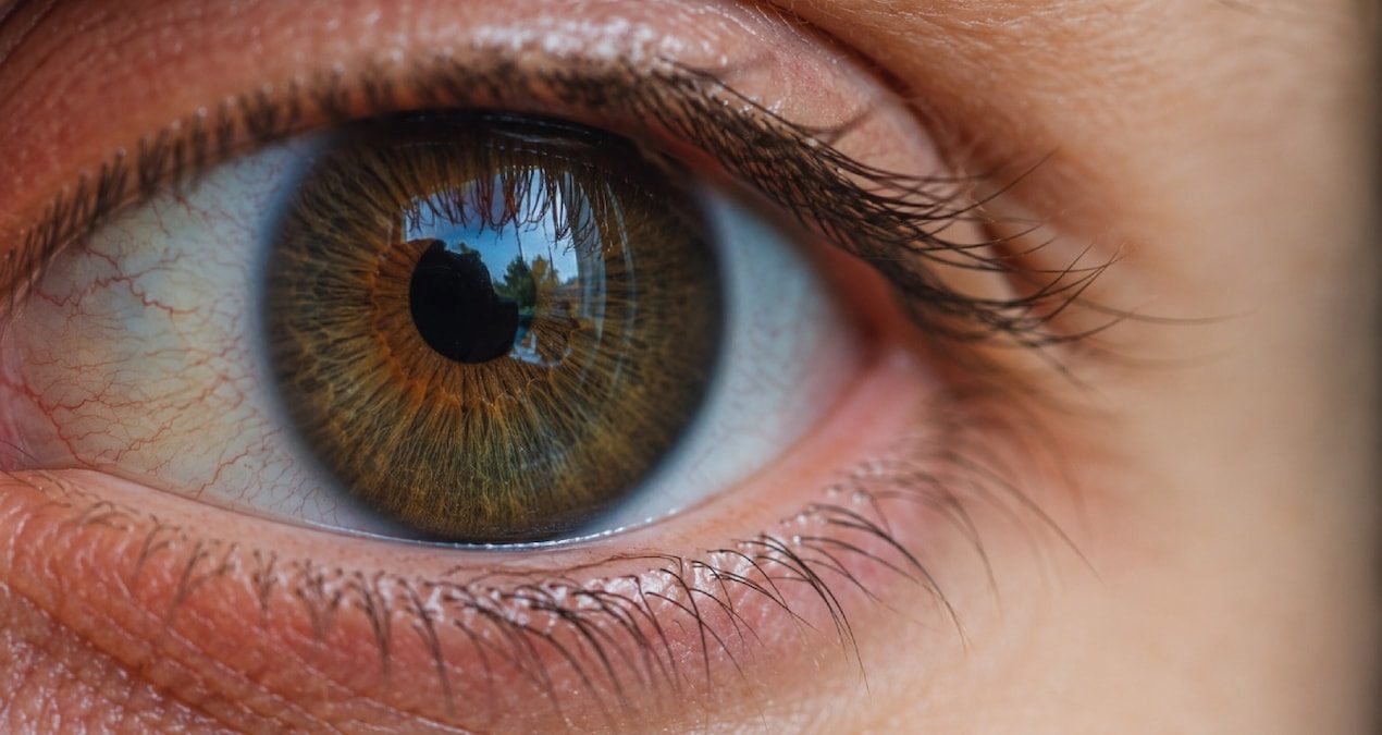 Yeni deneysel tedaviyle optik sinir hücreleri yeniden canlandırılmaya çalışılıyor İlk