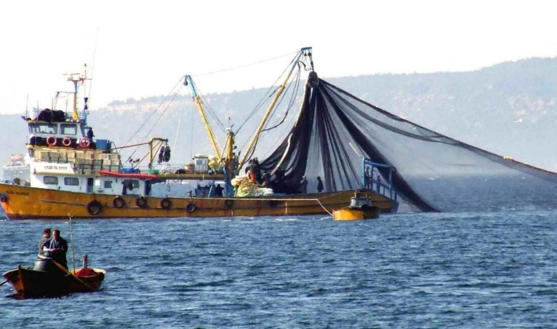 Türkiye’nin Deniz Salyangozu İhracatında İlk Yarısında Yüzde 69 Değer Artışı