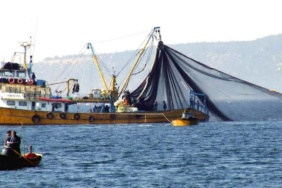 turkiyede-sofralarda-yeri-yok-ama-9-ulke-pesinden-kosuyor-j78M1RG8.jpg