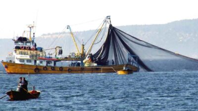 Türkiye’nin Deniz Salyangozu İhracatında İlk Yarısında Yüzde 69 Değer Artışı