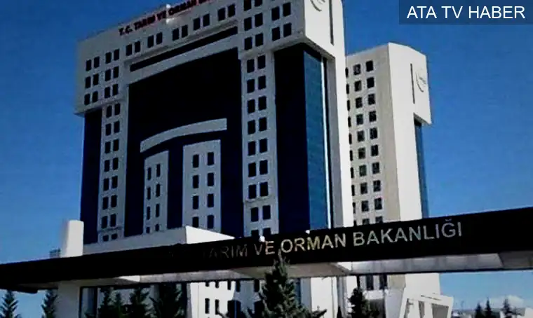 Tarım ve Orman Bakanlığı 1.874 sözleşmeli personel alımı başladı
