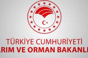 2026-tarim-ve-orman-bakanligi-personel-alimi-basvurulari-ne-zaman-ve-nasil-yapilir-WWtPCVJp.jpg