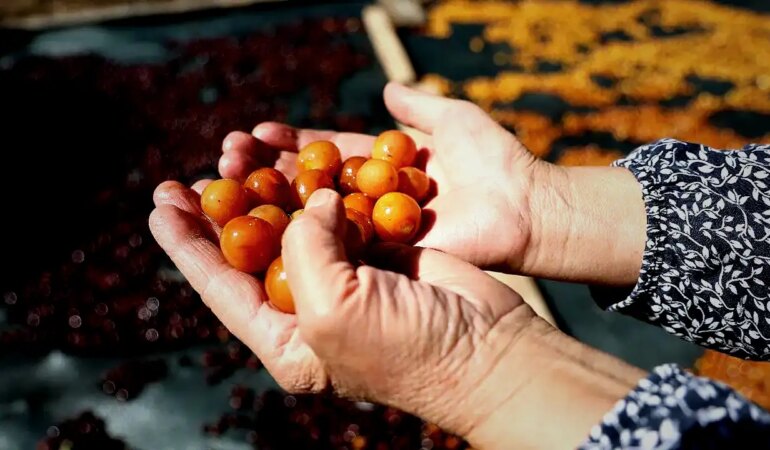 60 Liraya Alıcı Bulamayan Ürün 100 Liralık Katma Değerli Malzemeye Dönüştü — Adana ve Mersin’den Talep Yağıyor
