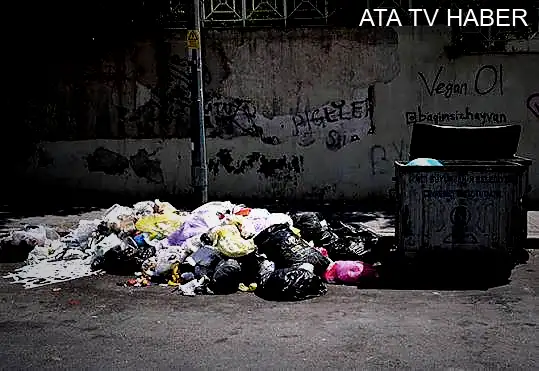 İthalat, kapasite ve gelirler