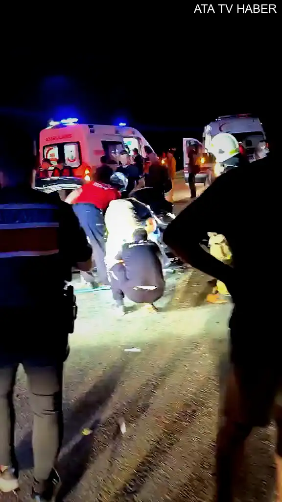 İznik-Adapazarı yolunda feci kaza: İki kişi hayatını kaybetti