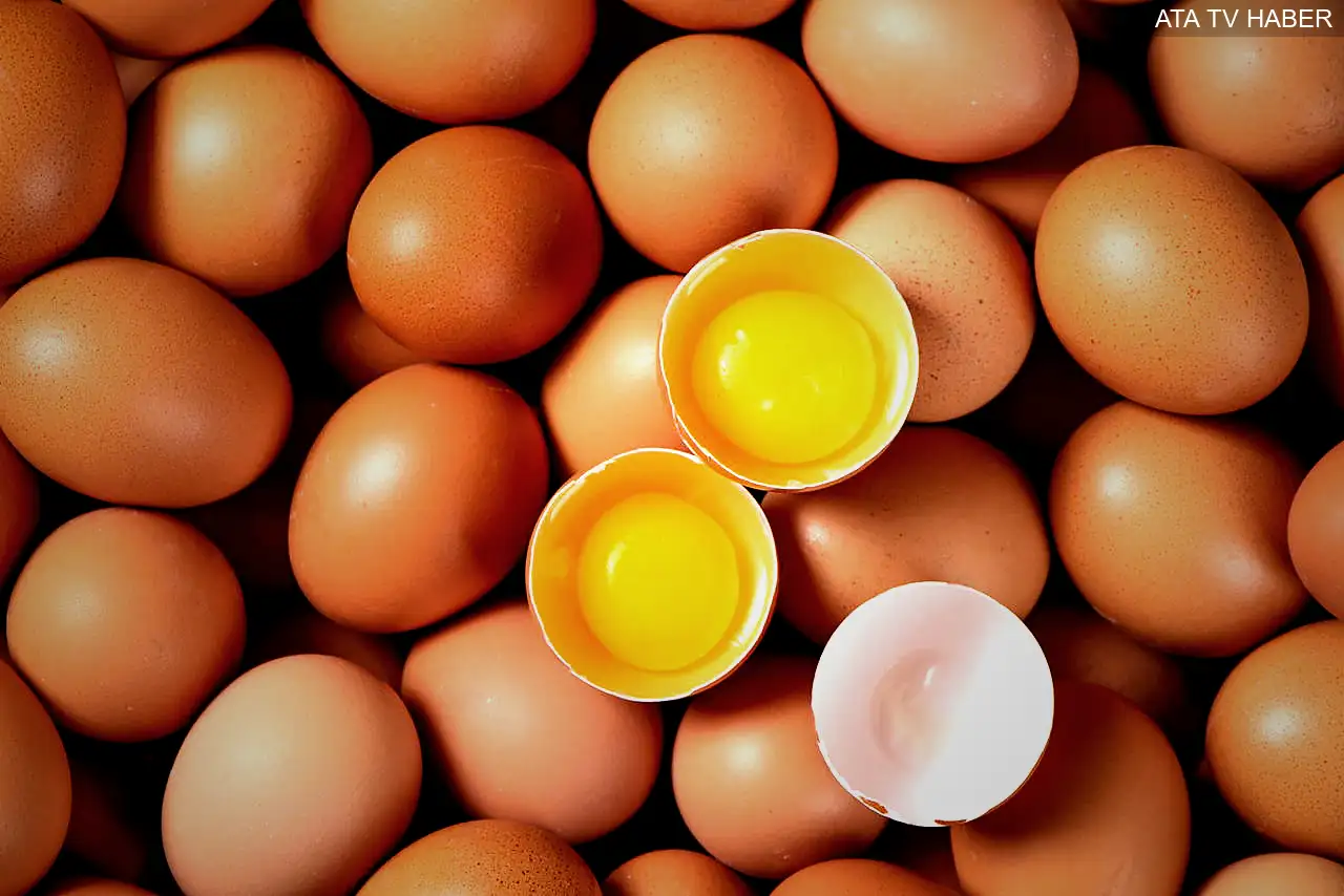 Somon — Omega-3 ve D Vitamini Desteği